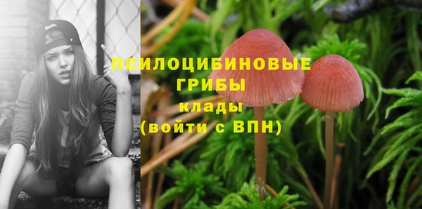 мдма Козельск
